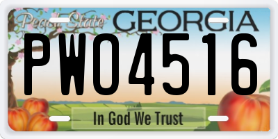 GA license plate PWO4516