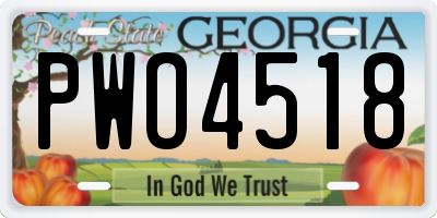 GA license plate PWO4518