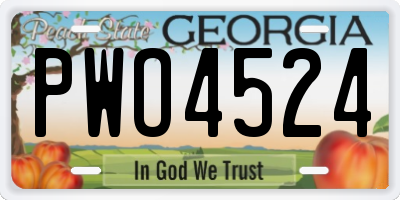 GA license plate PWO4524
