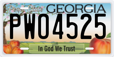 GA license plate PWO4525