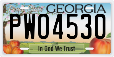 GA license plate PWO4530