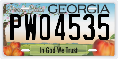 GA license plate PWO4535