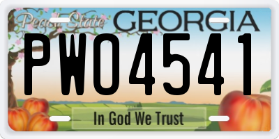 GA license plate PWO4541