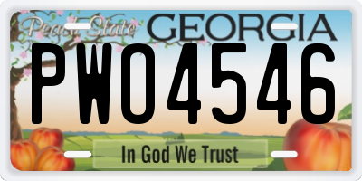 GA license plate PWO4546