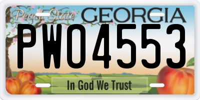 GA license plate PWO4553