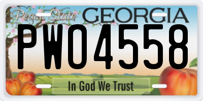 GA license plate PWO4558