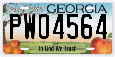 GA license plate PWO4564