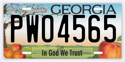 GA license plate PWO4565