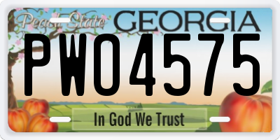 GA license plate PWO4575
