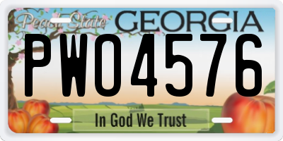 GA license plate PWO4576