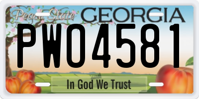 GA license plate PWO4581