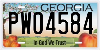 GA license plate PWO4584