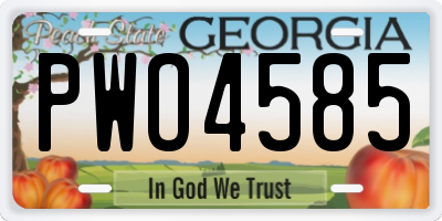 GA license plate PWO4585