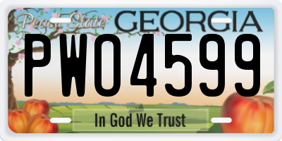 GA license plate PWO4599