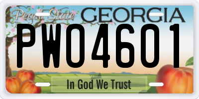 GA license plate PWO4601