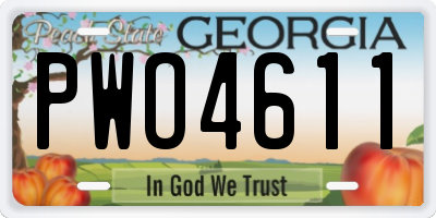 GA license plate PWO4611