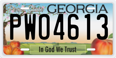 GA license plate PWO4613