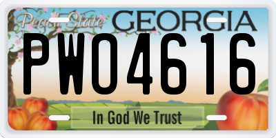 GA license plate PWO4616