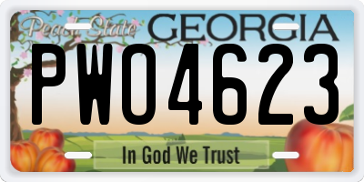 GA license plate PWO4623