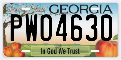 GA license plate PWO4630