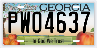 GA license plate PWO4637