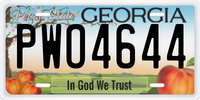GA license plate PWO4644