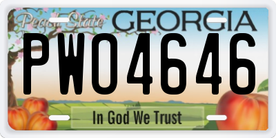 GA license plate PWO4646