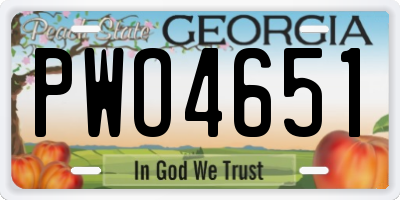 GA license plate PWO4651