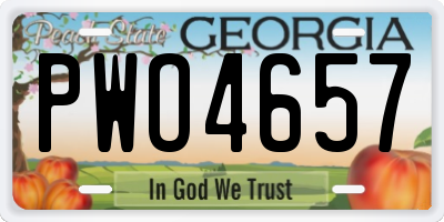 GA license plate PWO4657