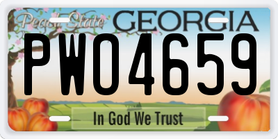 GA license plate PWO4659