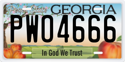 GA license plate PWO4666