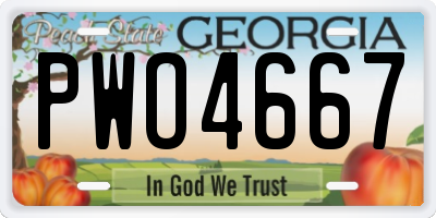GA license plate PWO4667