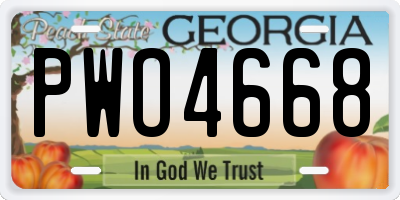 GA license plate PWO4668