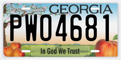 GA license plate PWO4681