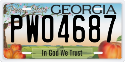 GA license plate PWO4687