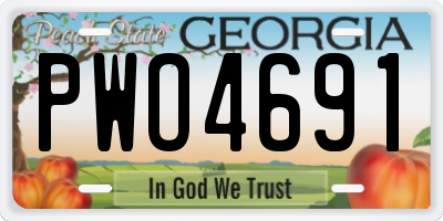 GA license plate PWO4691