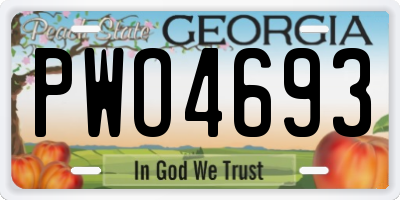 GA license plate PWO4693