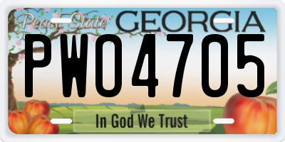 GA license plate PWO4705