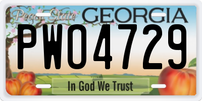 GA license plate PWO4729
