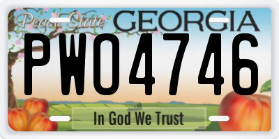 GA license plate PWO4746