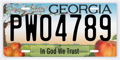 GA license plate PWO4789