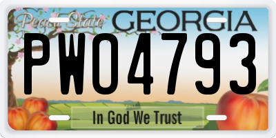 GA license plate PWO4793