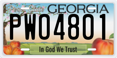 GA license plate PWO4801