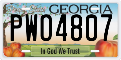GA license plate PWO4807