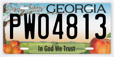 GA license plate PWO4813
