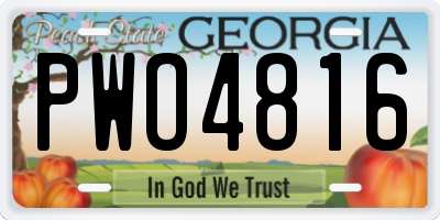 GA license plate PWO4816