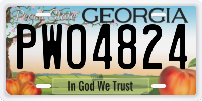 GA license plate PWO4824