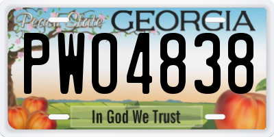 GA license plate PWO4838