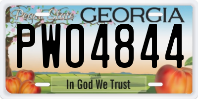 GA license plate PWO4844