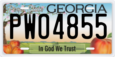 GA license plate PWO4855